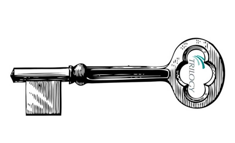 Trilogy - Advice and guidance for ICT projects