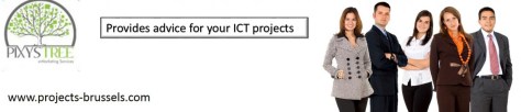 cropped-projects-brussels-provides-advice-for-your-ict-projects.jpg